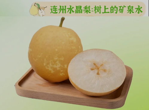 “桃李”酷暑，清凉一夏